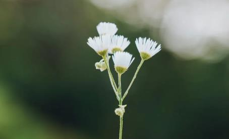 珍爱网实名认证可靠吗安全吗？